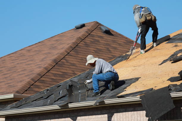 Best Solar Panel Roofing Installation  in Oral City, FL