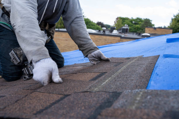 Best Roof Insulation Installation  in Oral City, FL